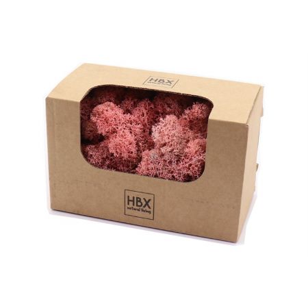 Basic Reindeer Moss 50gr Pink