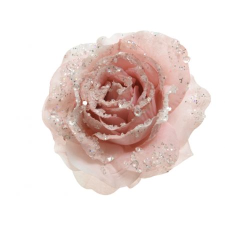 Rose Clip D14h8,5cm Puderrosa