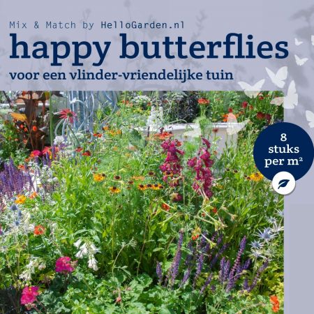 Schmetterlingsgarten - Staudenpaket Happy Butterflies 24 m2 (192 Stauden)