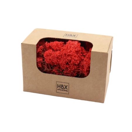 Basic Reindeer Moss 50gr Red