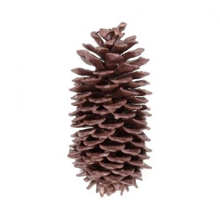 Pinecone Sugar Wax Slv L35 Taupe